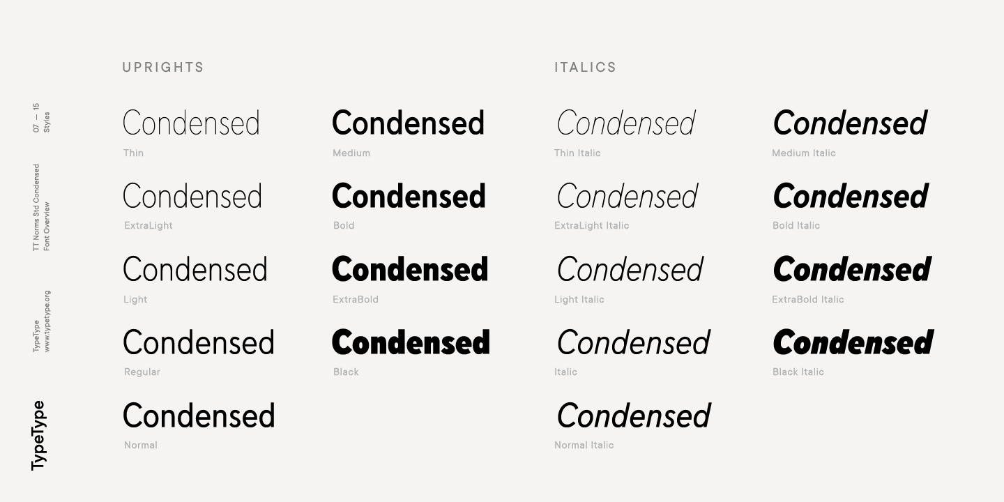 Ejemplo de fuente TT Norms Std Condensed Thin Italic